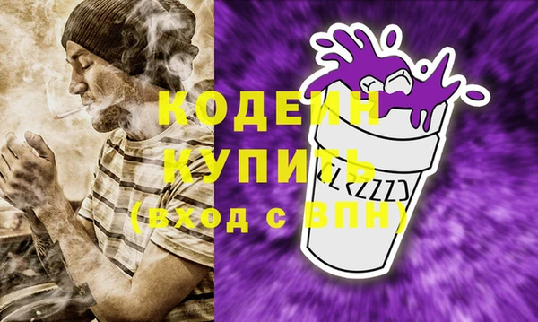 индика Кинешма