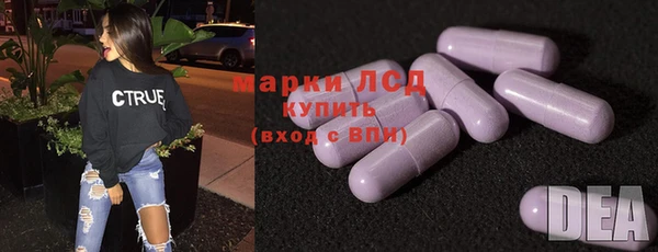 индика Кинешма