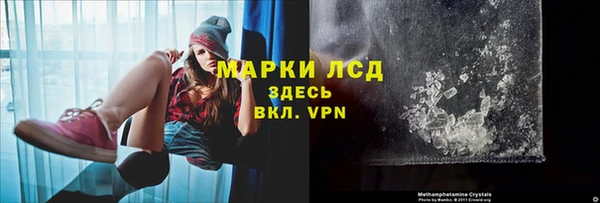 PSILOCYBIN Киренск