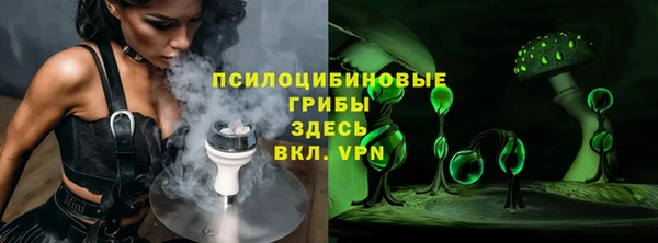 PSILOCYBIN Киренск