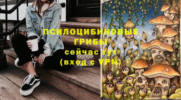 бошки Козельск