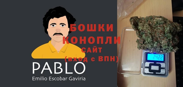 индика Кинешма