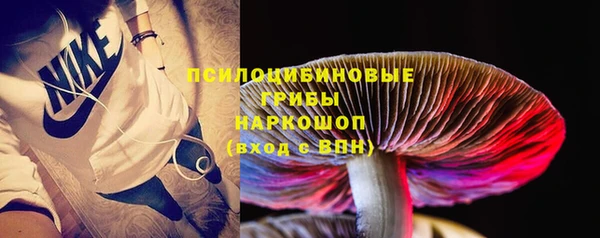 ешки Карпинск